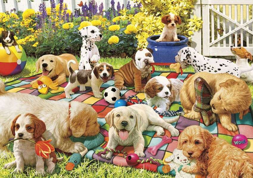 Σκύλοι στην παιδική χαρά #164 παζλ online