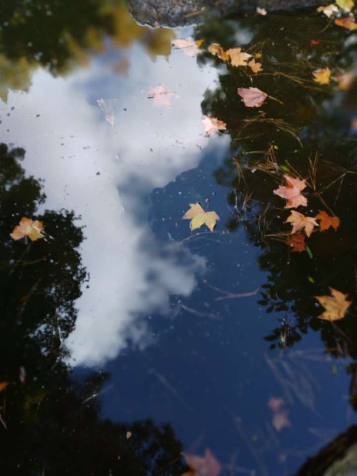 Есенни листа с отразено небе онлайн пъзел