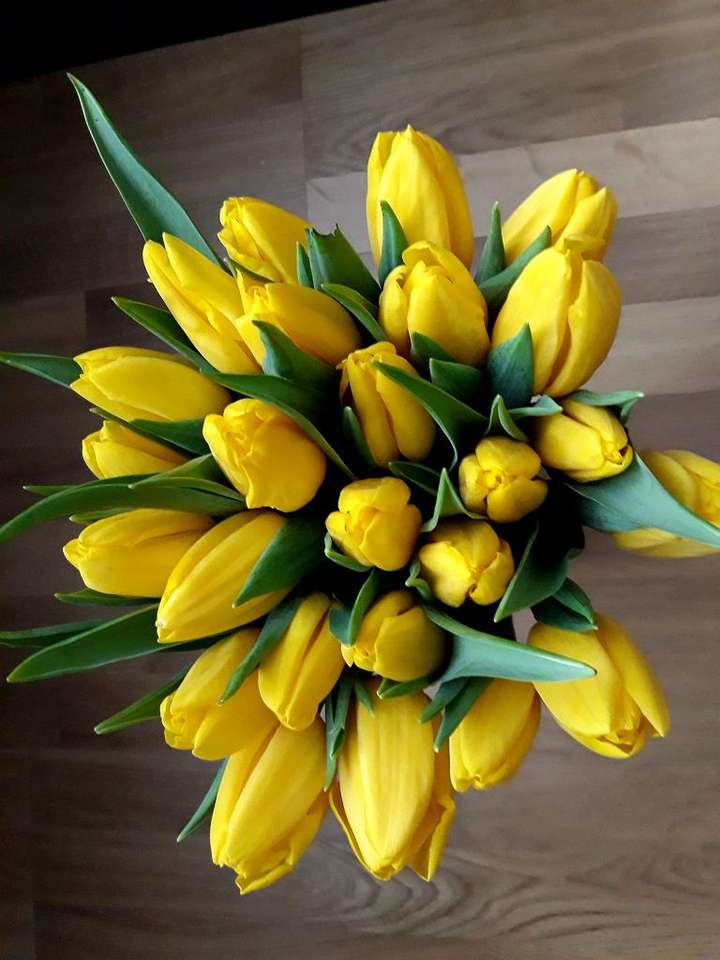 žluté tulipány skládačky online