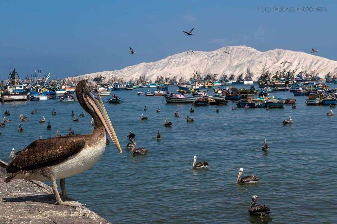 PuertoChimbote jigsaw puzzle online