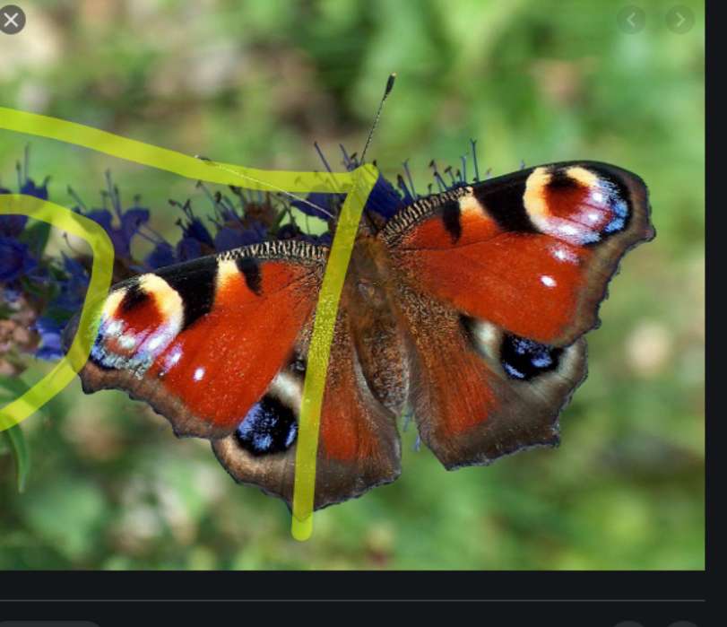 pillangós rovarok online puzzle