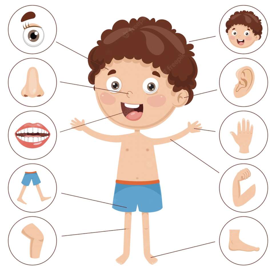 My Body Parts jigsaw puzzle online