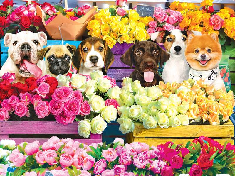 Cagnolini al negozio di fiori #174 puzzle online