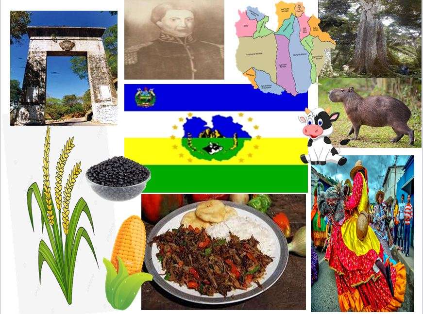 Guarico state jigsaw puzzle online
