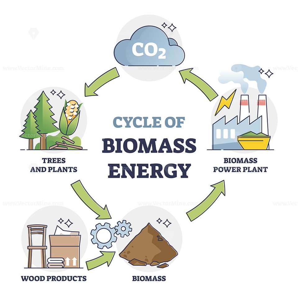 Koloběh biomasy skládačky online