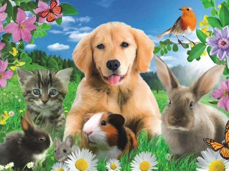 Foto-huisdieren online puzzel