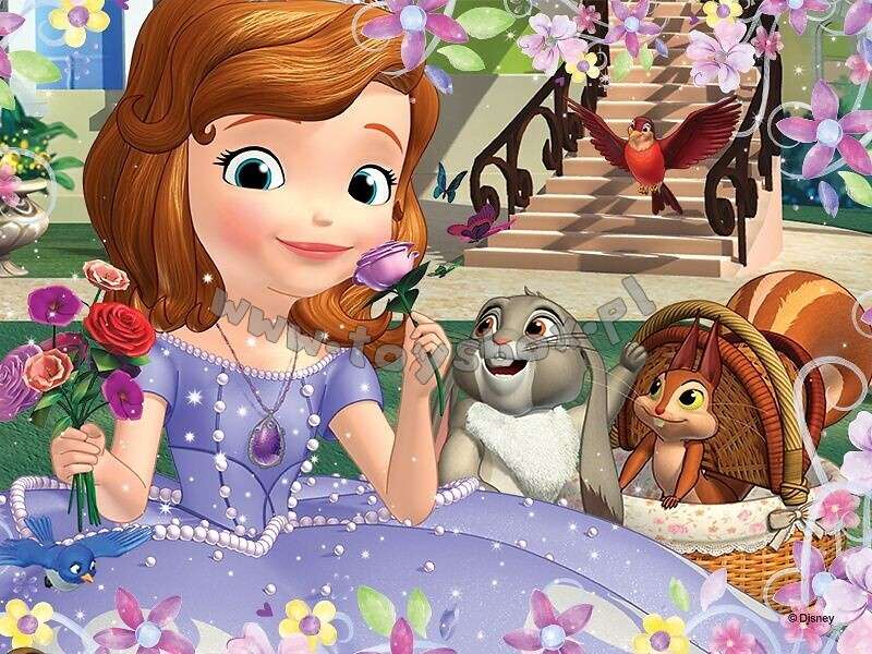 Principessa Sofia - il gioco puzzle online