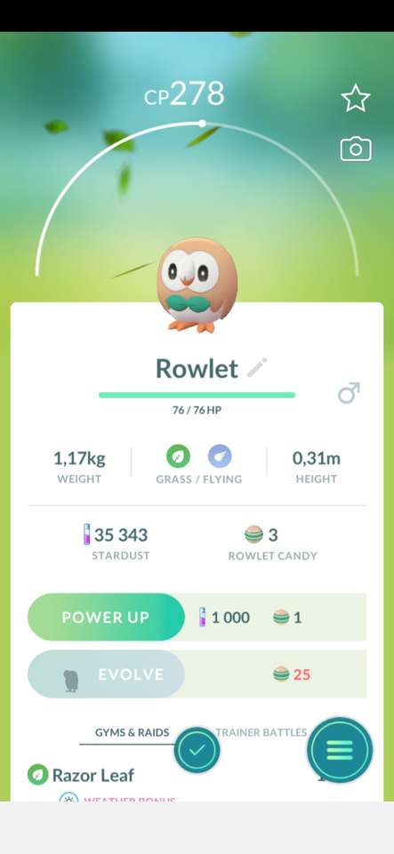 Pokémon Rowlet skládačky online