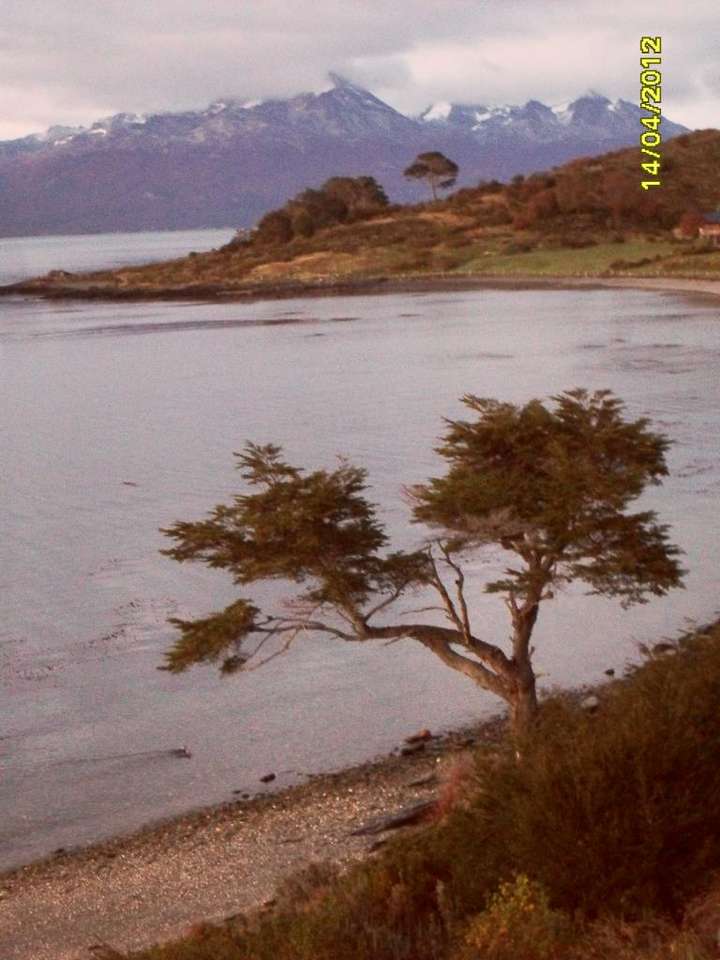 Остров Тиера дел Фуего, залив на Аржентина онлайн пъзел