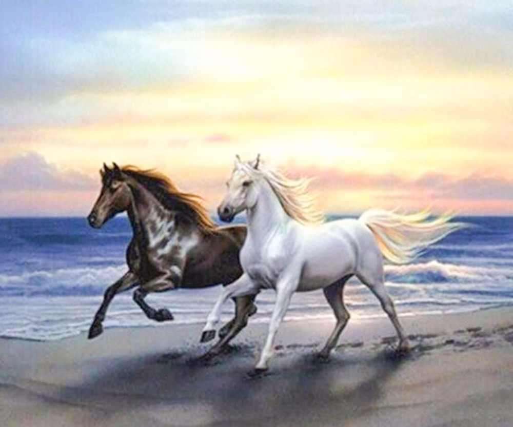 Caii galopând pe plajă jigsaw puzzle online