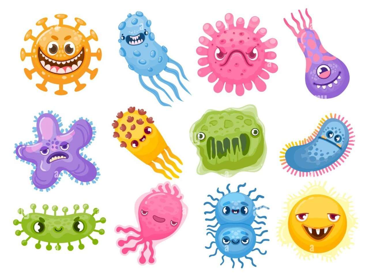 Koninkrijksbacteriën legpuzzel online