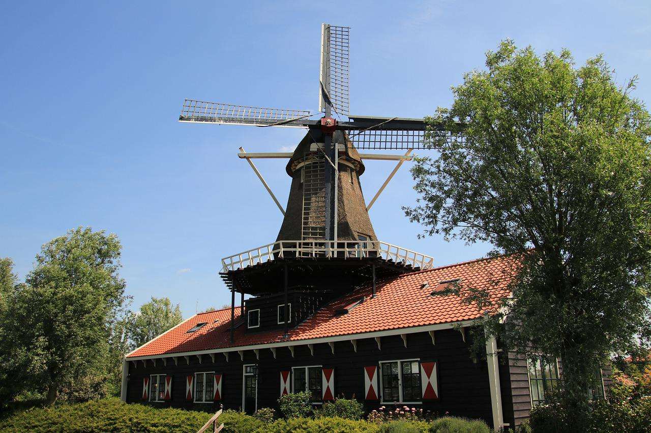 Listy holandského větrného mlýna online puzzle