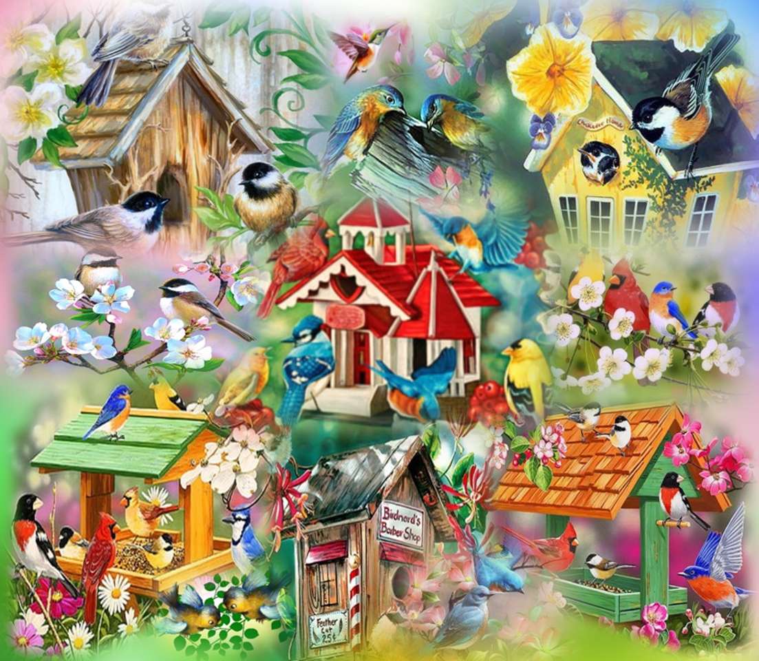 Colecție - case pentru păsări jigsaw puzzle online