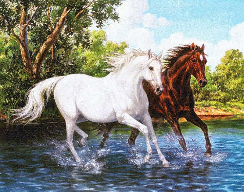 Коні, що біжать по воді пазл онлайн