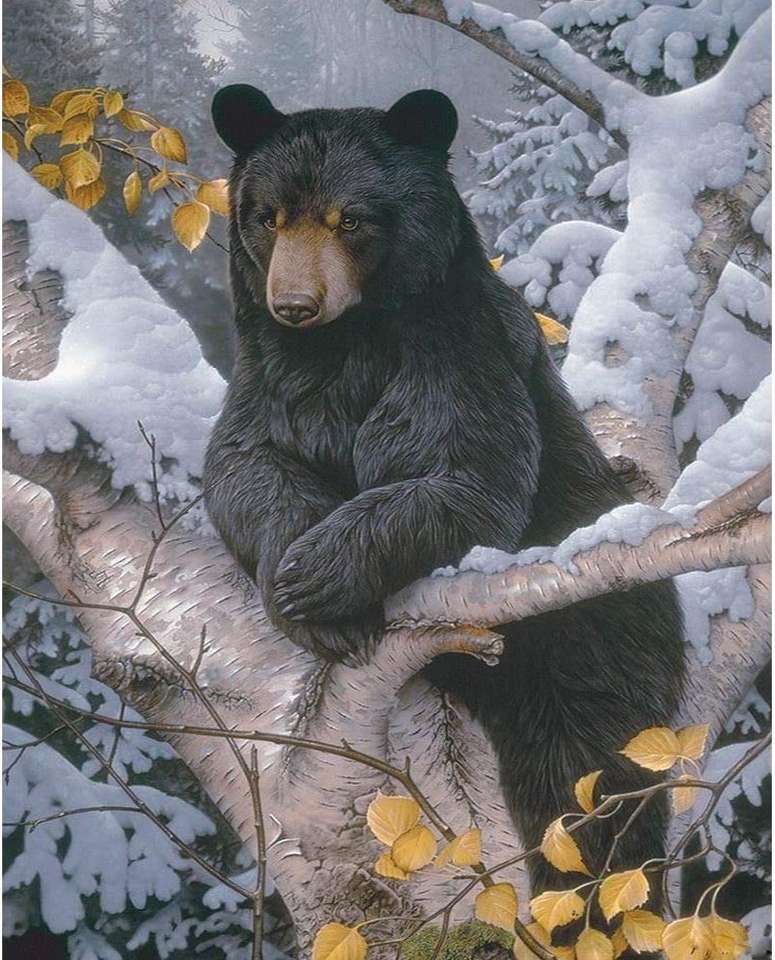 Bär, der sich an einen Baum lehnt Online-Puzzle
