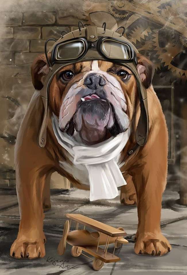 perro aviador rompecabezas en línea