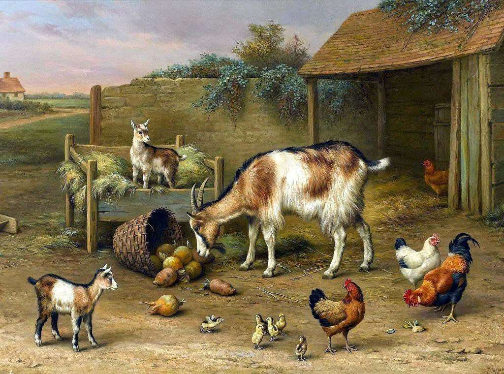 Домашні тварини у дворі пазл онлайн