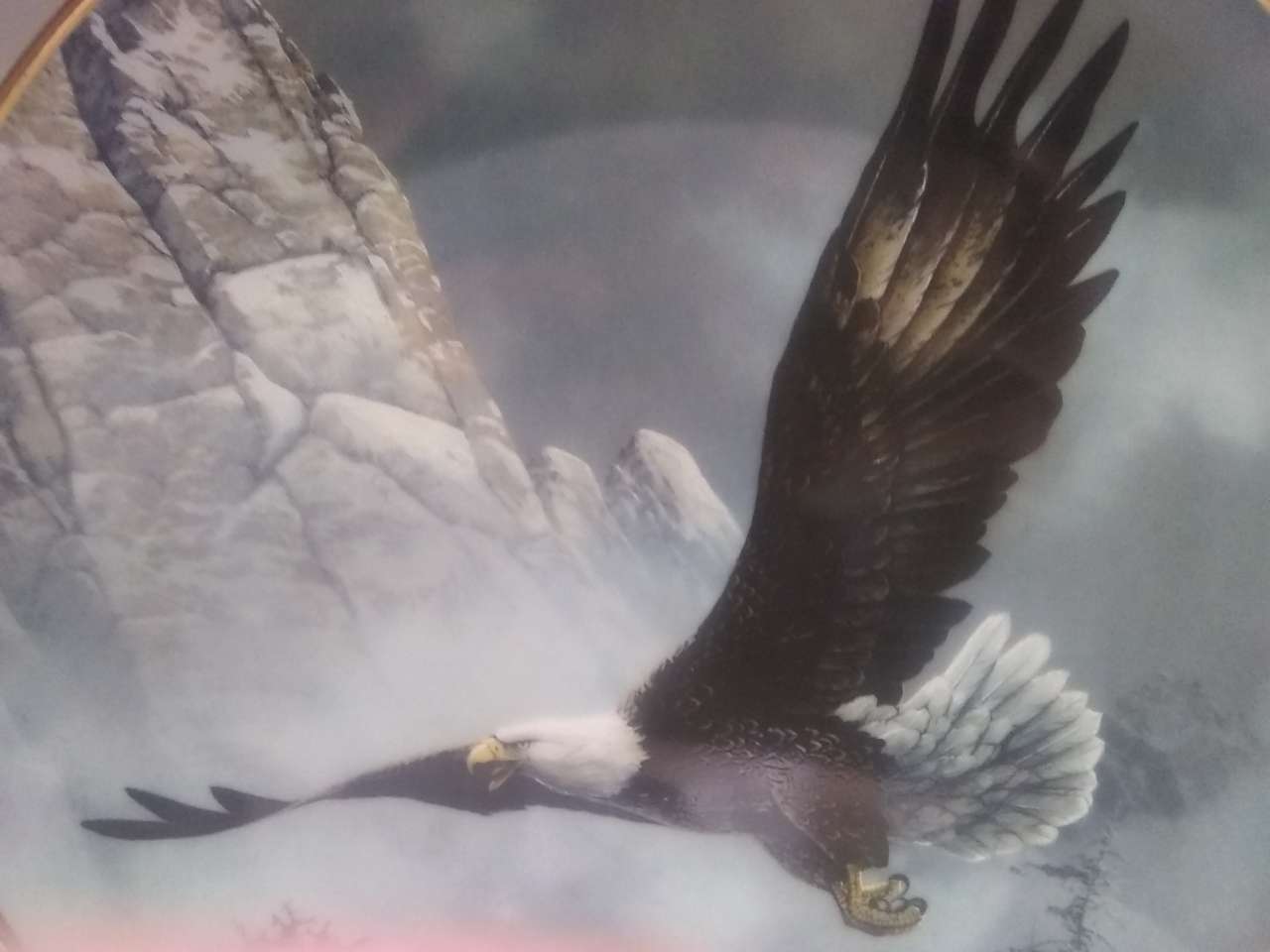 águila vuela en las montañas - Puzzle Factory