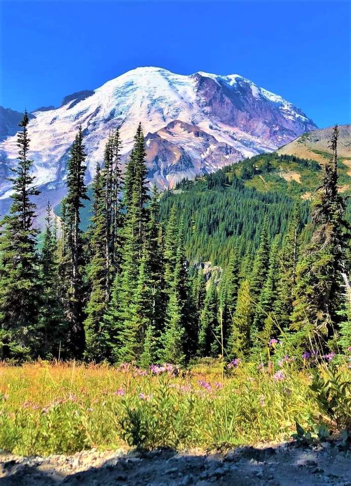 Mount Rainier online puzzle