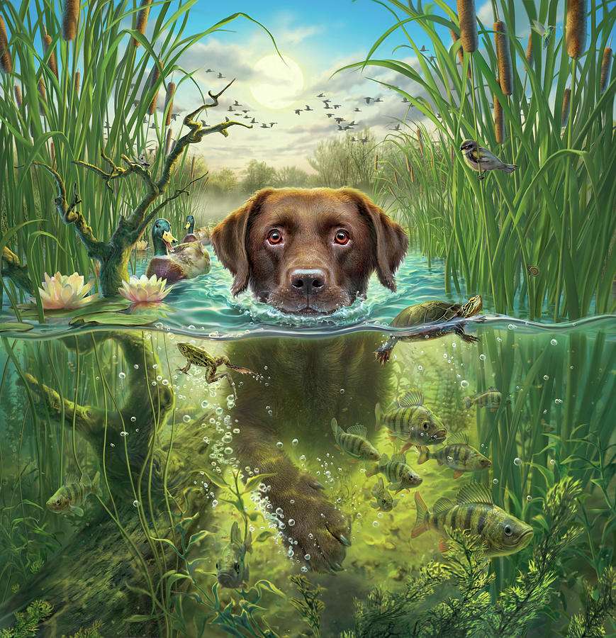 puppy swimming jigsaw puzzle online
