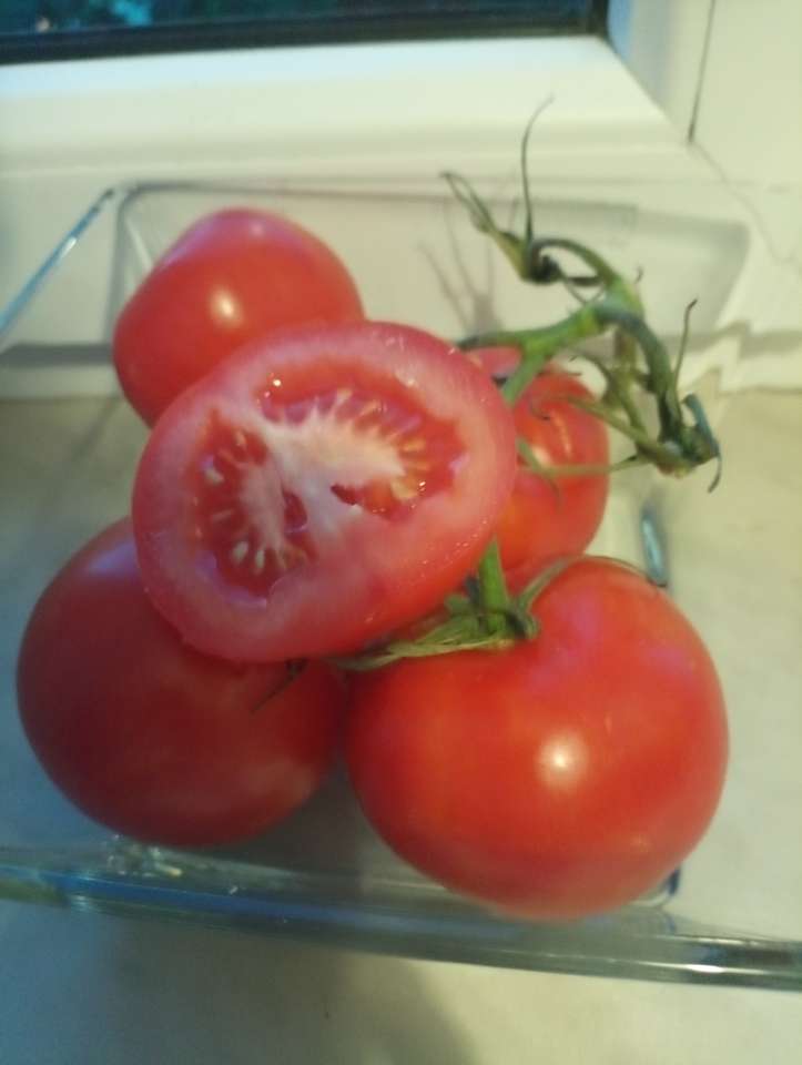 rajčata skládačky online