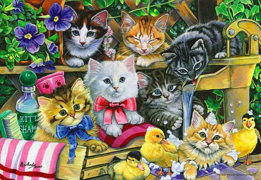 Kittens wachten op hun bad #195 online puzzel