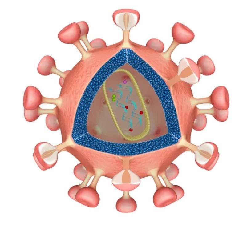 virus du sida puzzle en ligne