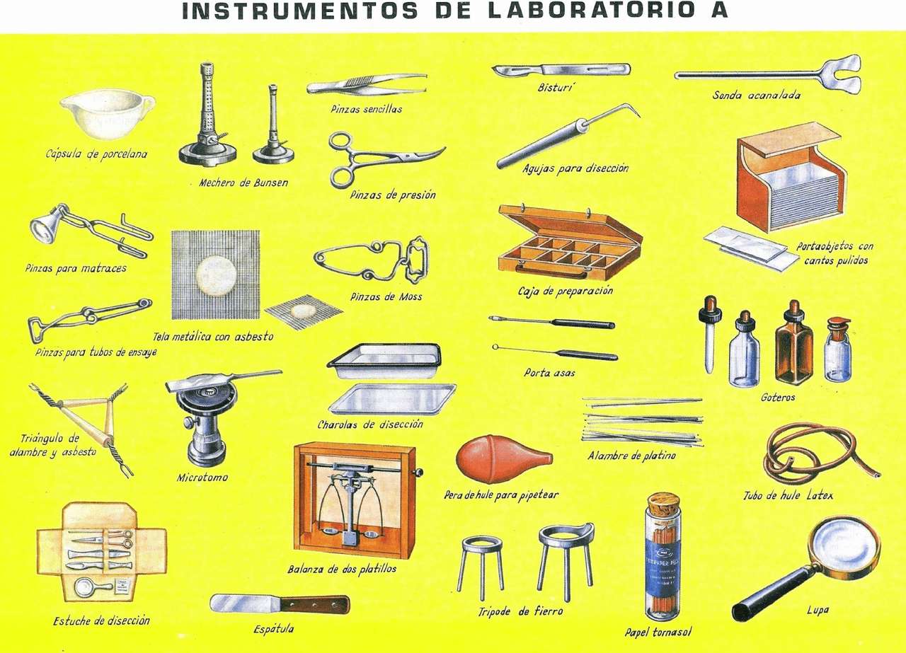 Instrumentos de laboratorio rompecabezas en línea