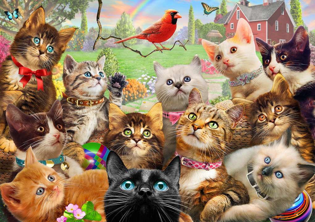many cats jigsaw puzzle online