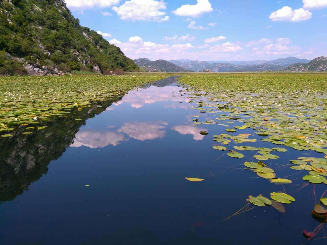 Национальный парк Скадарское озеро, пазл онлайн
