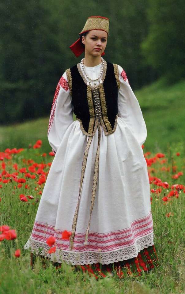 Typisk litauisk klänning pussel på nätet