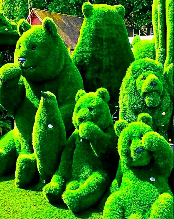 Uma equipe verde, o milagre de um jardineiro puzzle online
