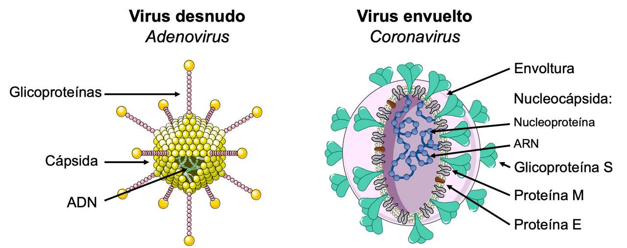 form of viruses jigsaw puzzle online
