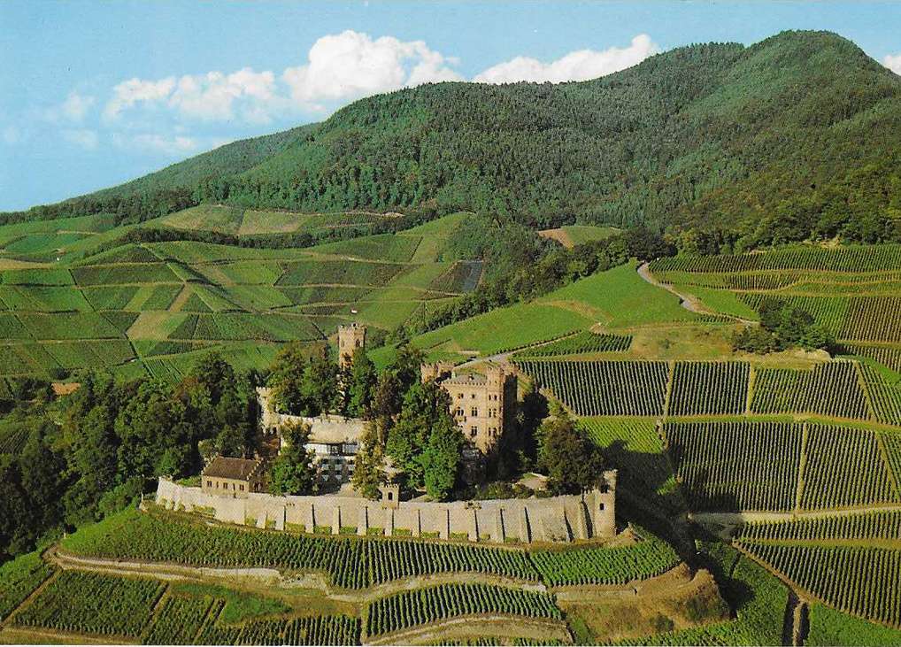 Castelo de Ortenberg puzzle online
