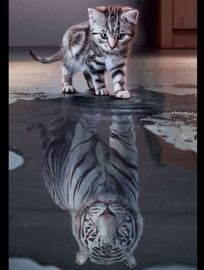 Cand voi fi mare voi fi un tigru :) puzzle online