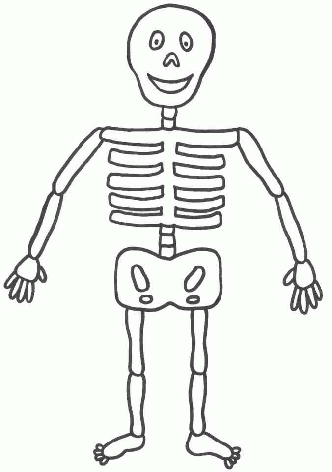 Le squelette humain puzzle en ligne