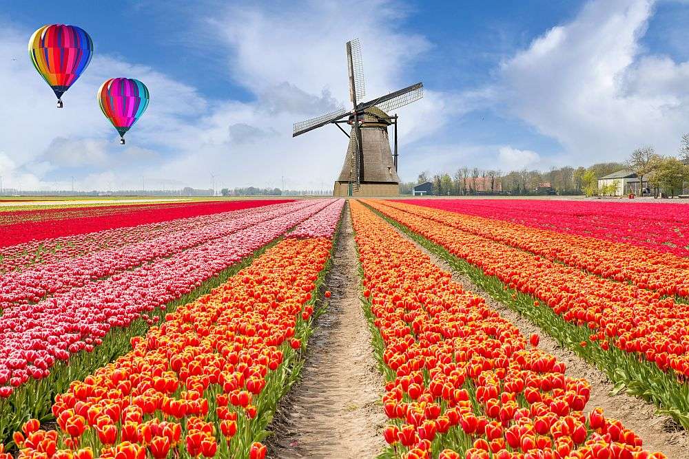 Holländskt landskap pussel på nätet