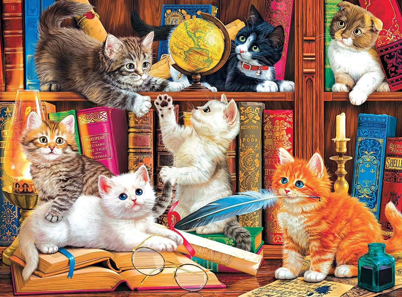 Katzen in der Bibliothek Online-Puzzle