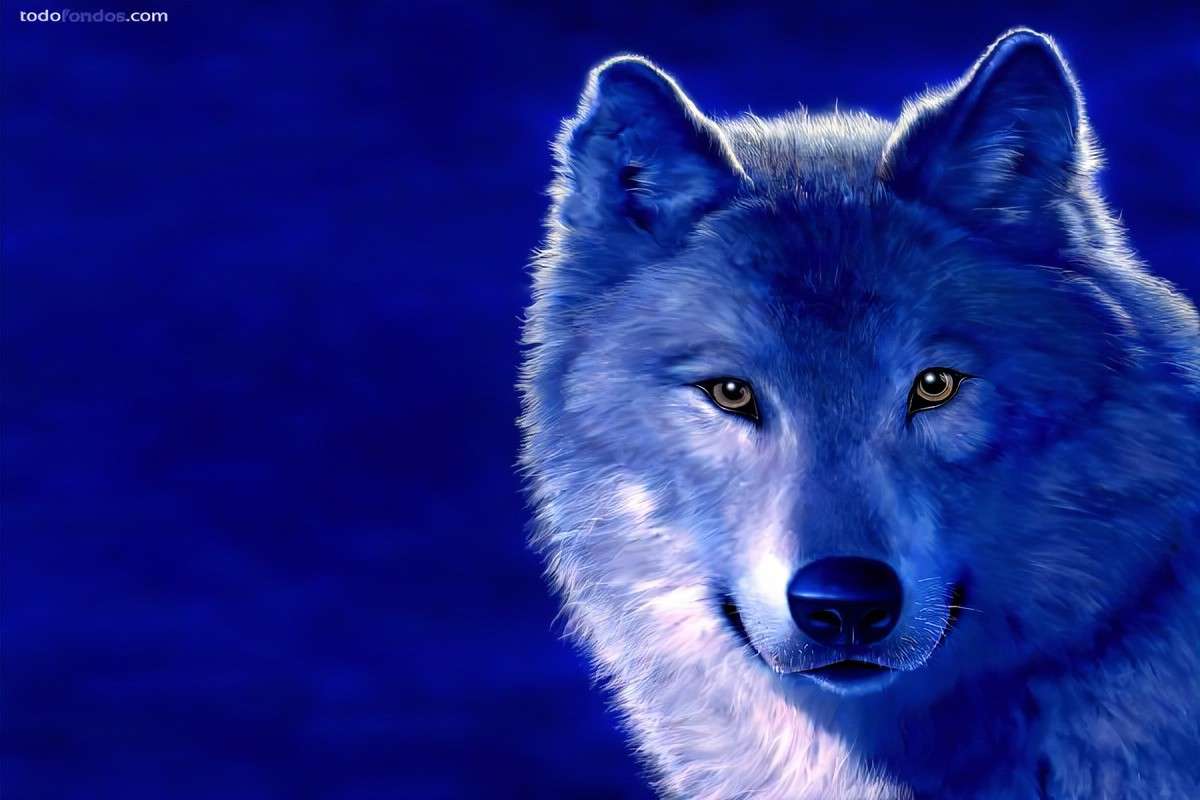Wolf Seele Online-Puzzle