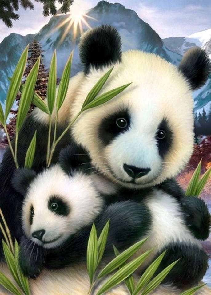 Medvídek panda online puzzle