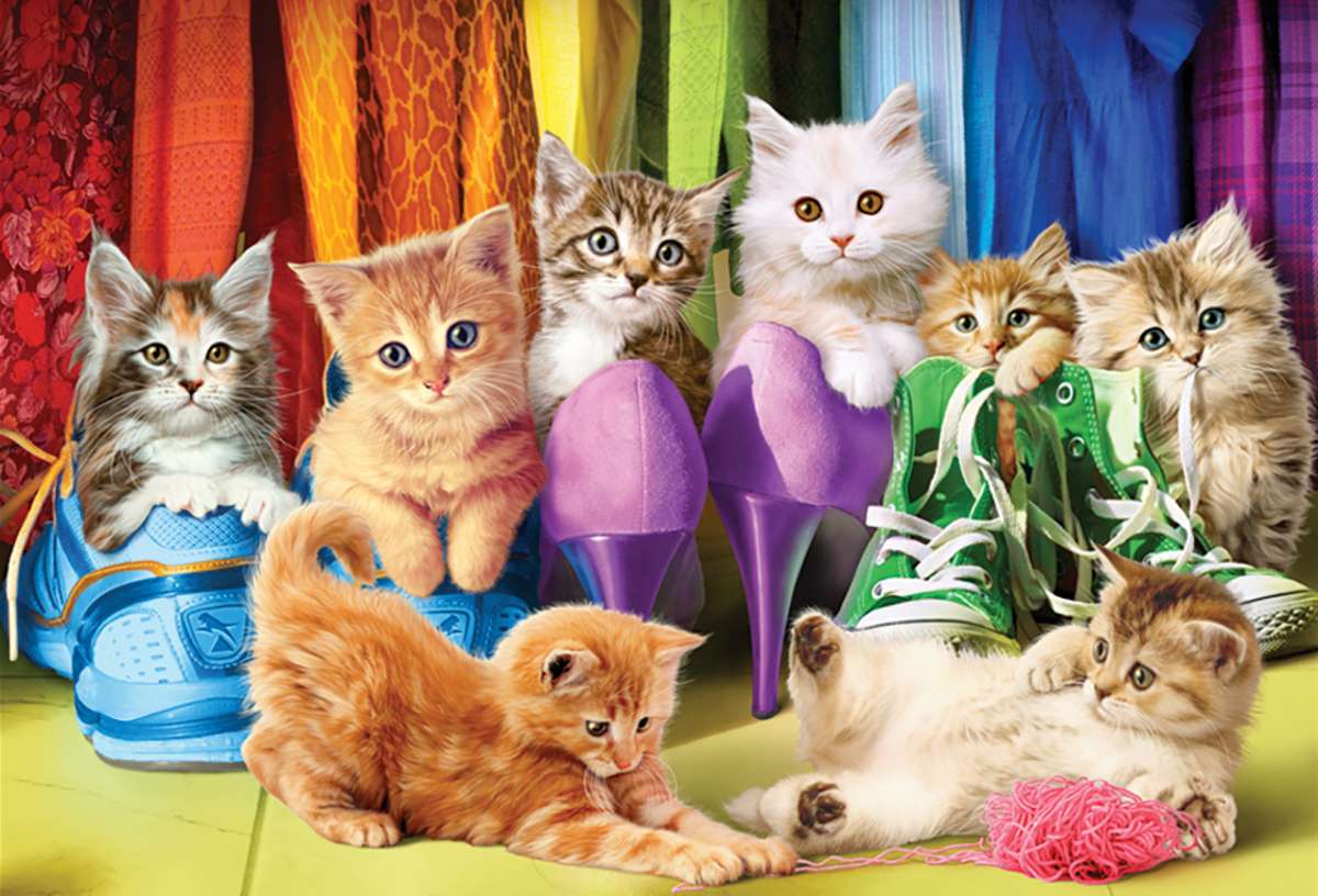 kittens in schoenen legpuzzel online