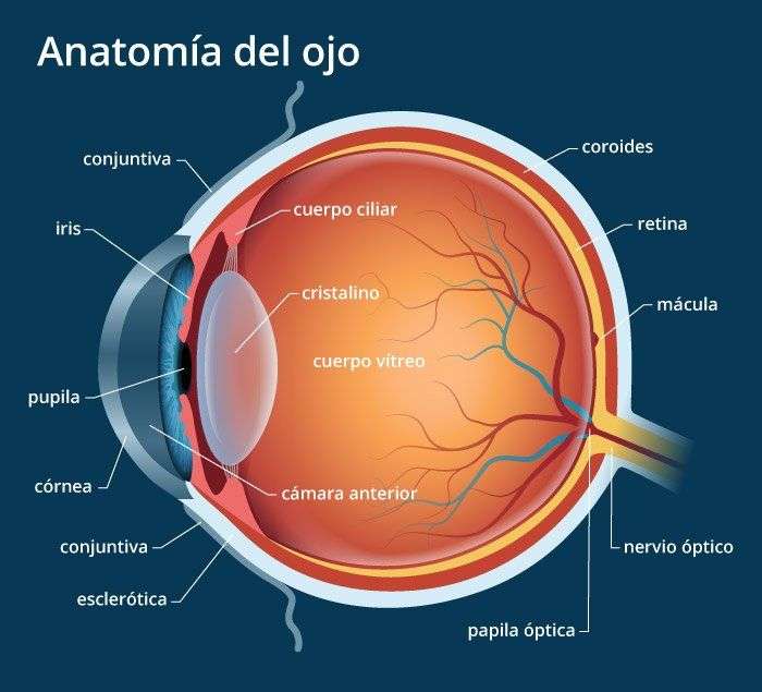 Auge Auge Puzzlespiel online