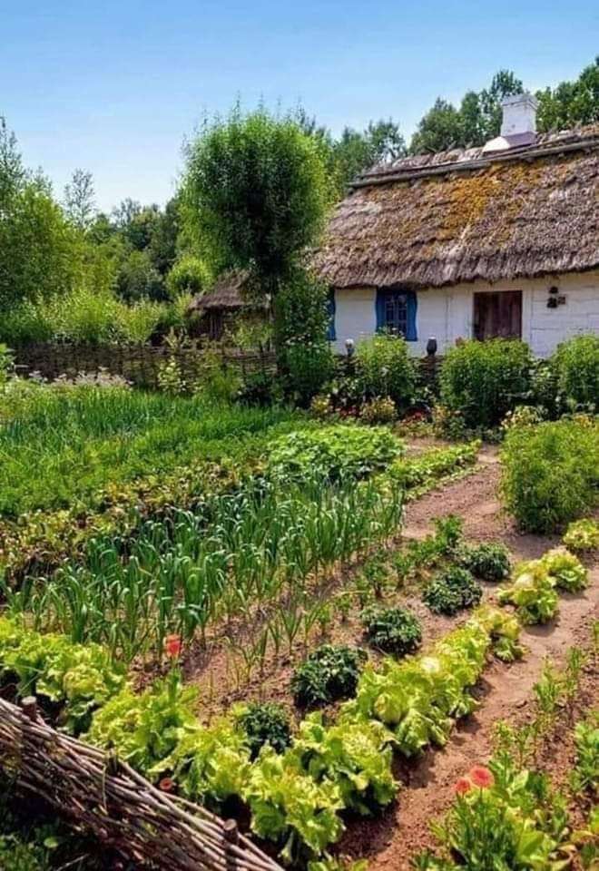 hus på landet med grönsaksträdgård Pussel online