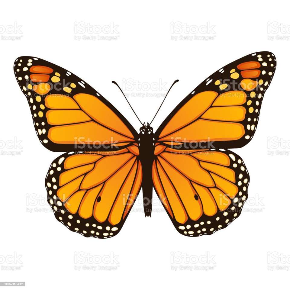 πεταλούδα μονάρχης online παζλ