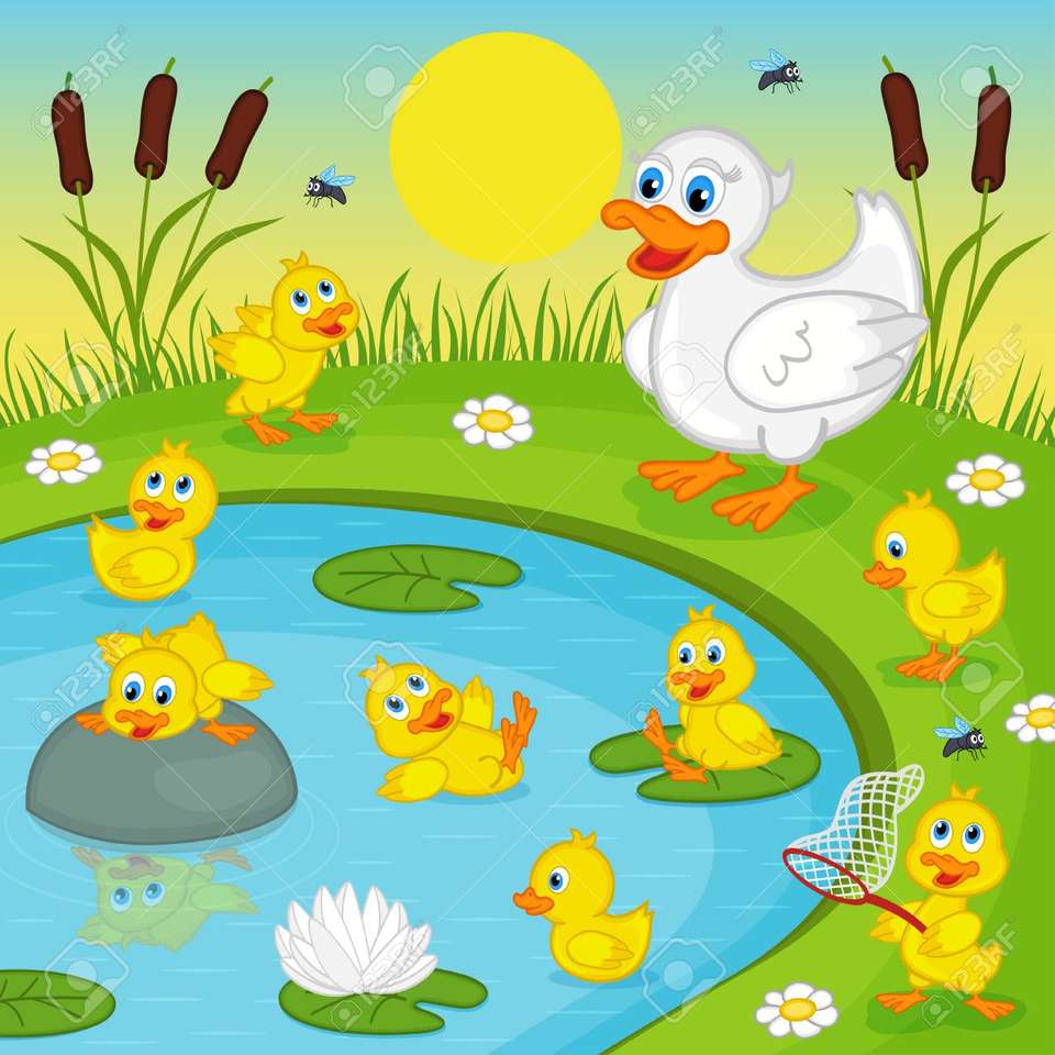 ducks online puzzle