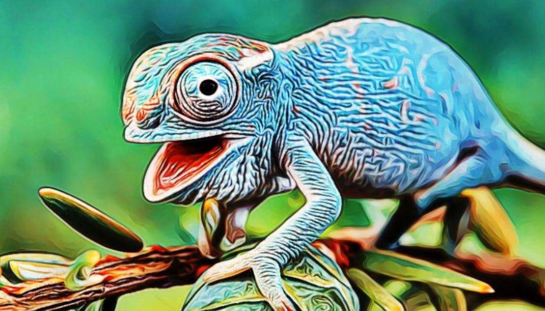 chameleón online puzzle