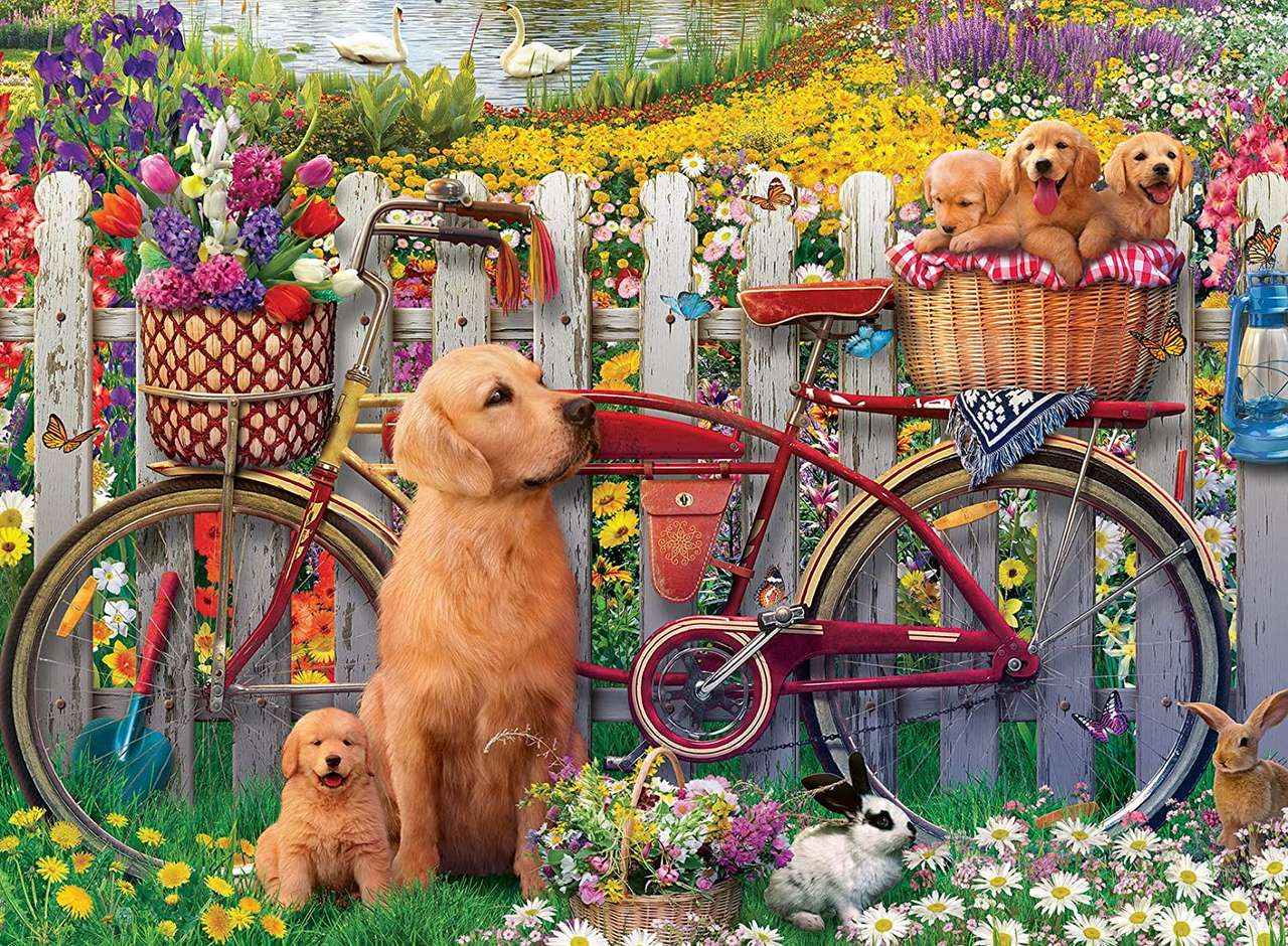 Câini drăguți în grădină jigsaw puzzle online