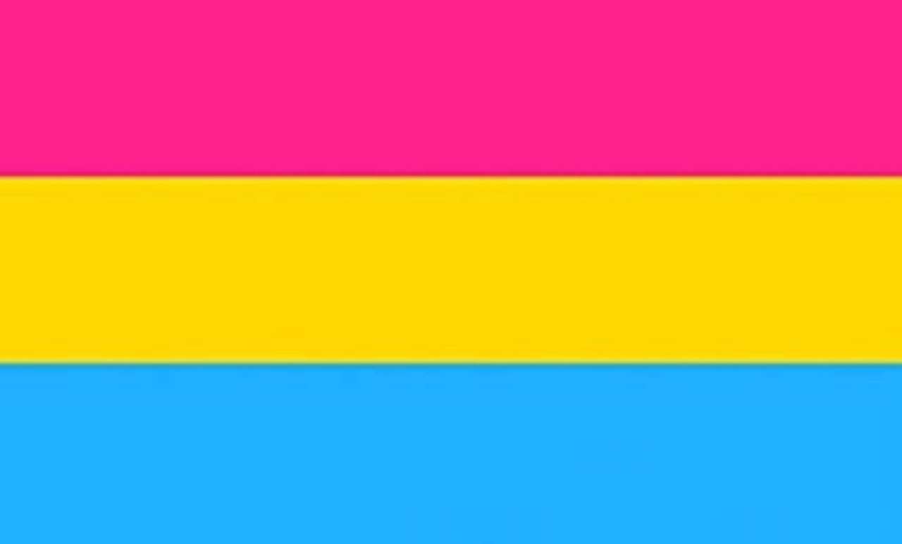 Pansexuell flagga pussel på nätet