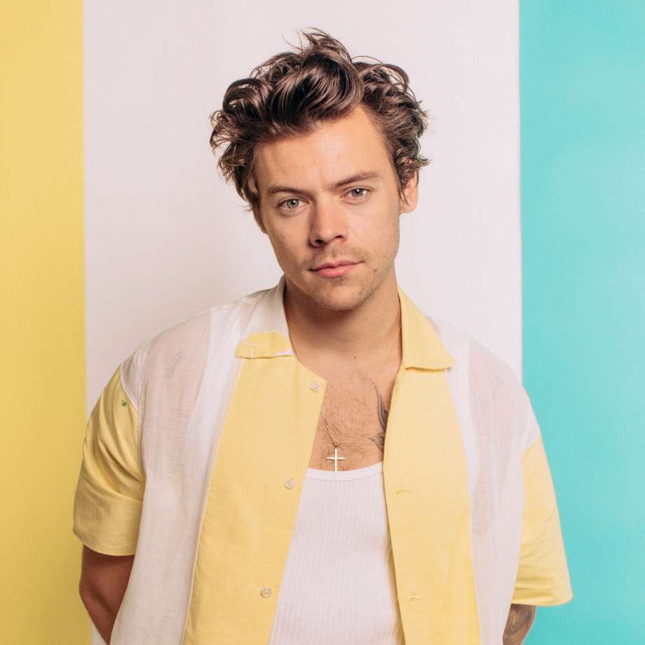 Harry Styles jigsaw puzzle online