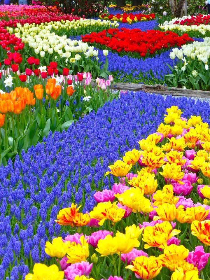 canteiros de flores quebra-cabeças online